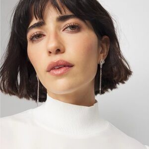 NWT Silvertone snake earrings from WHBM